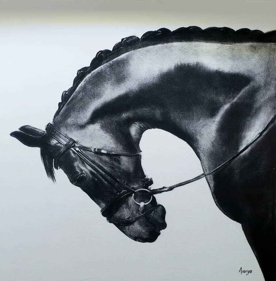 BLack Horse_1649642294.jpeg